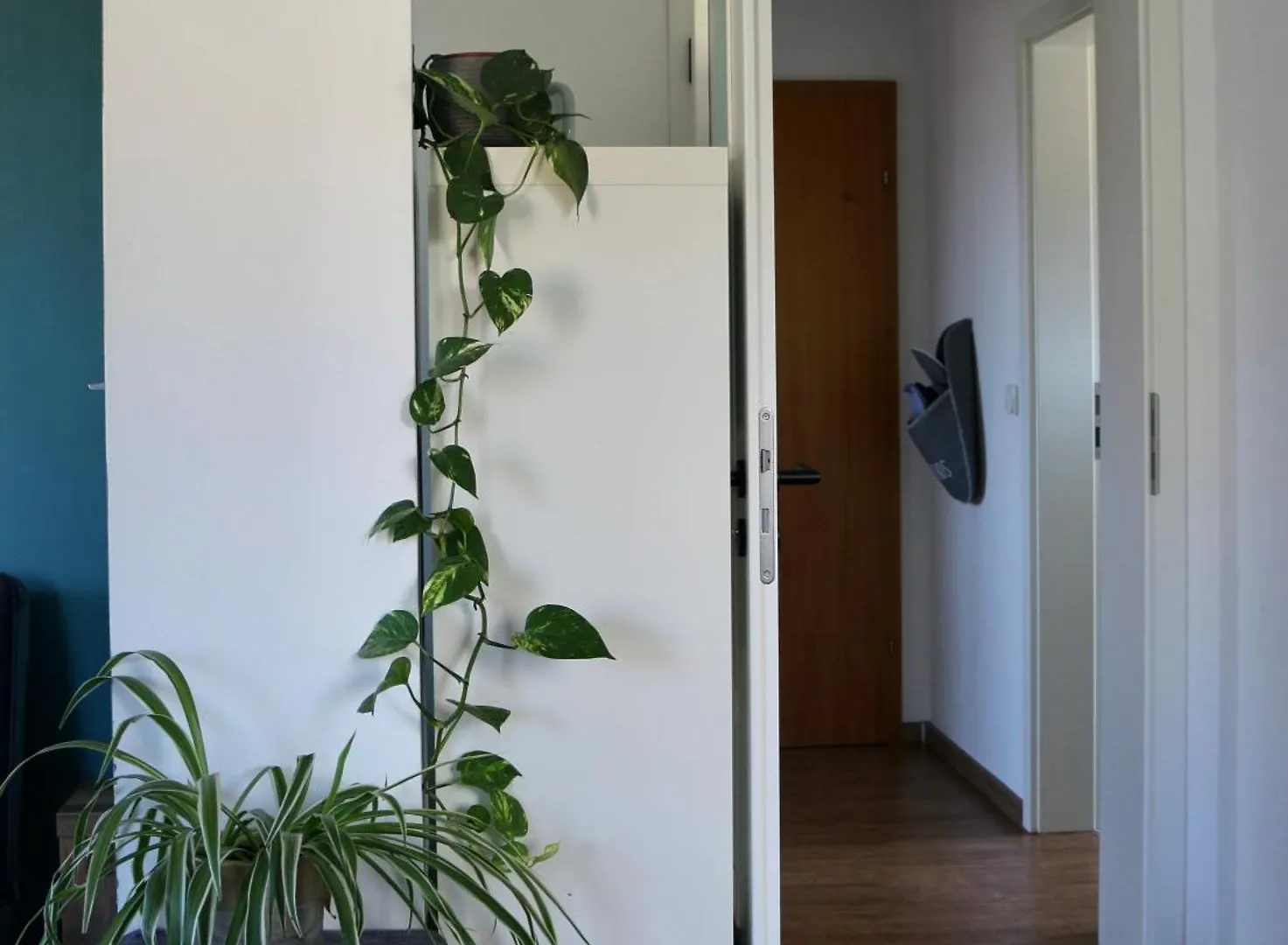 Gemuetliches Apartment Am Brombachsee Mit Seeblick. أبسبيرغ