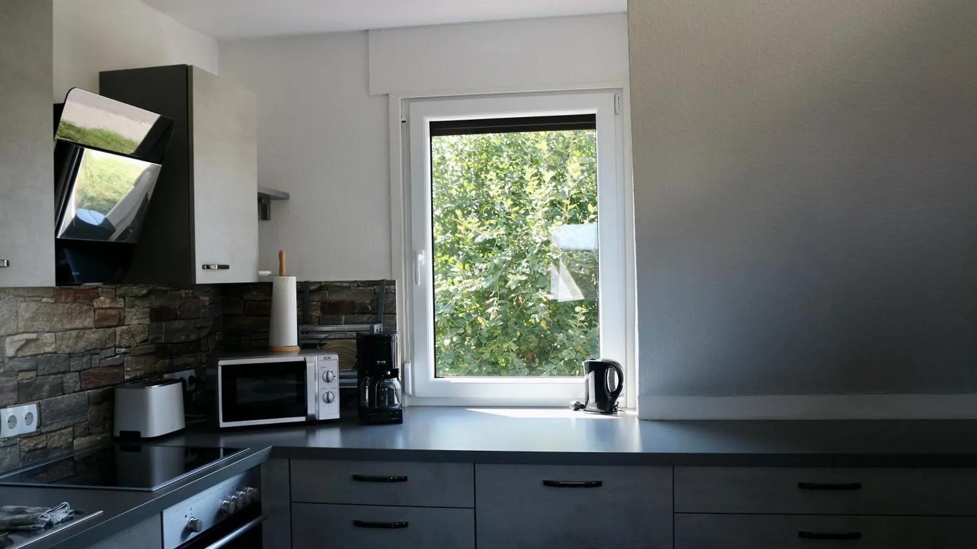 Gemuetliches Apartment Am Brombachsee Mit Seeblick. أبسبيرغ